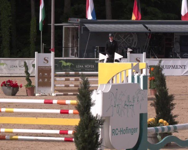 Reitturnier Ranshofen - Braunau am Inn 2025