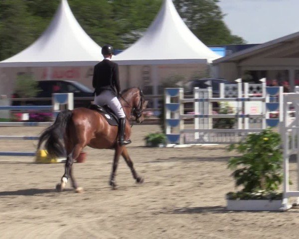 Reitturnier Bremen - Reitanlage Forkert 2025