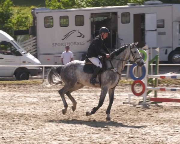 Reitturnier Heiligenwald 2025