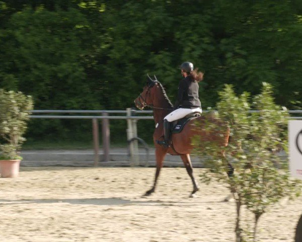 Reitturnier Winnenden 2025
