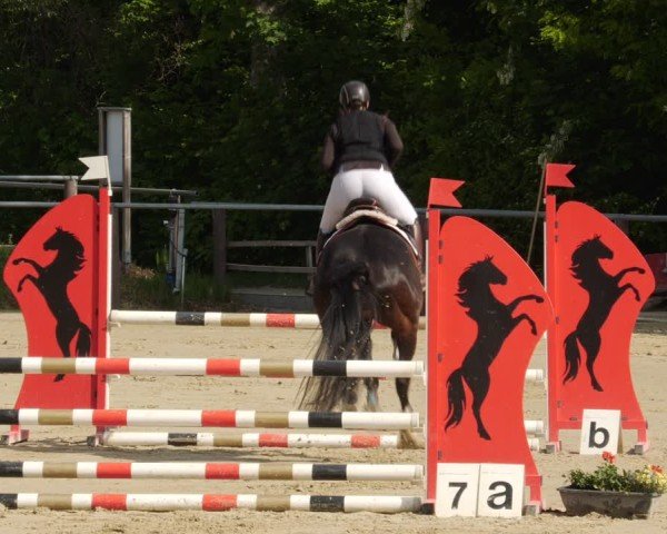 Reitturnier Winnenden 2025
