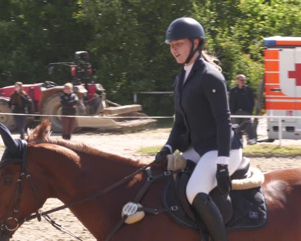 Reitturnier Heiligenwald 2025