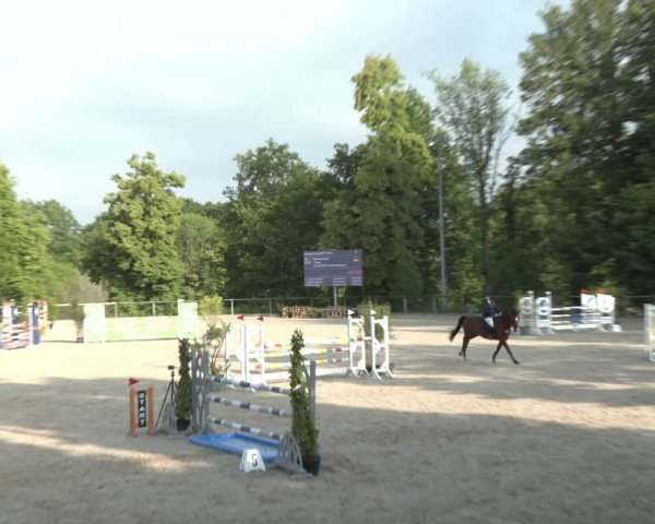 Reitturnier Erkrath - Uhlenhof 2025