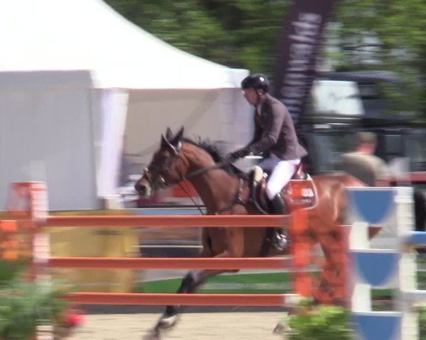 Reitturnier Bremen - Reitanlage Forkert 2025