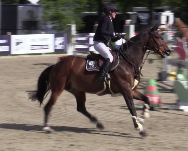 Reitturnier Bremen - Reitanlage Forkert 2025