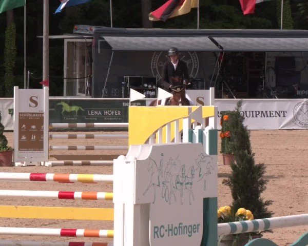 Reitturnier Ranshofen - Braunau am Inn 2025