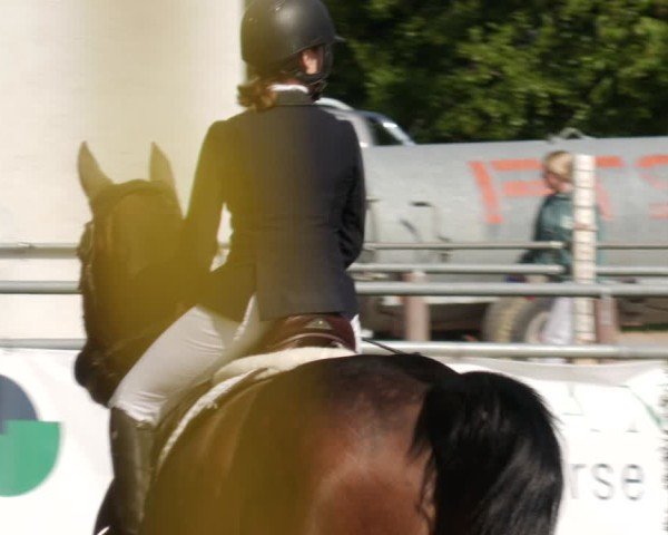 Reitturnier Winnenden 2025