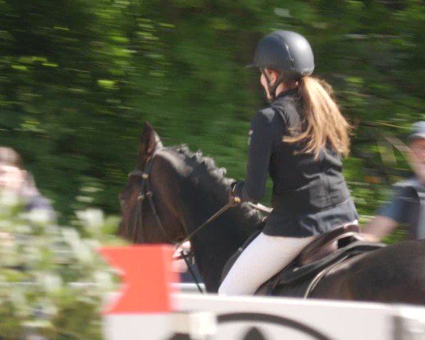 Reitturnier Winnenden 2025
