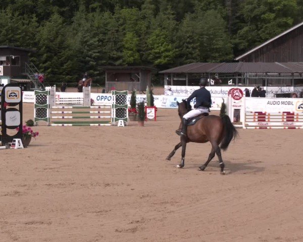 Reitturnier Ranshofen - Braunau am Inn 2025