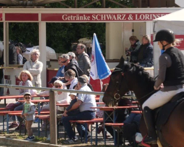 Reitturnier Winnenden 2025
