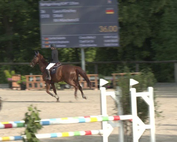 Reitturnier Erkrath - Uhlenhof 2025