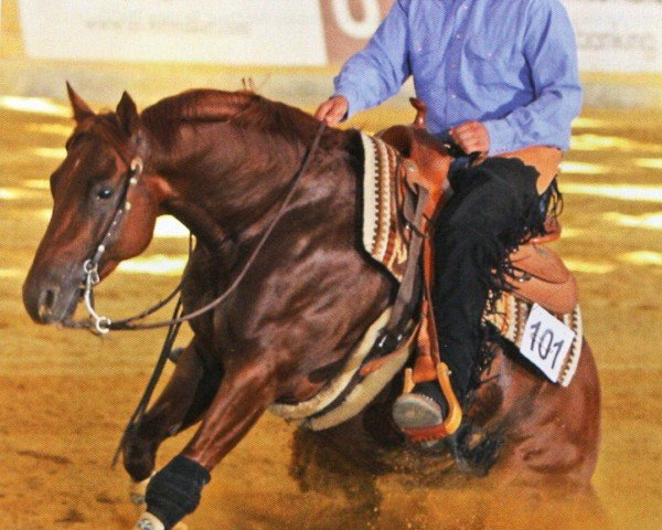 Pferd Lil Big Ruf (Quarter Horse, 2007, von Lil Ruf Peppy)