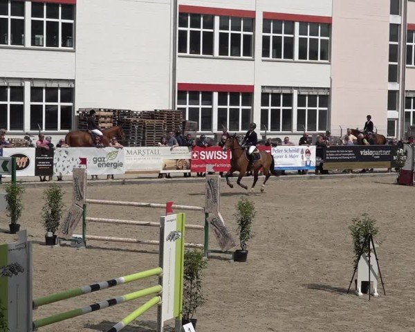 Reitturnier Sulgen 2025
