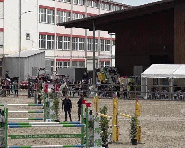 Reitturnier Sulgen 2025