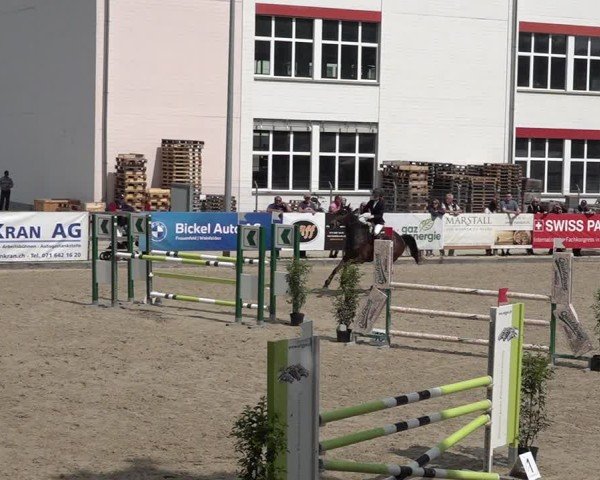 Reitturnier Sulgen 2025