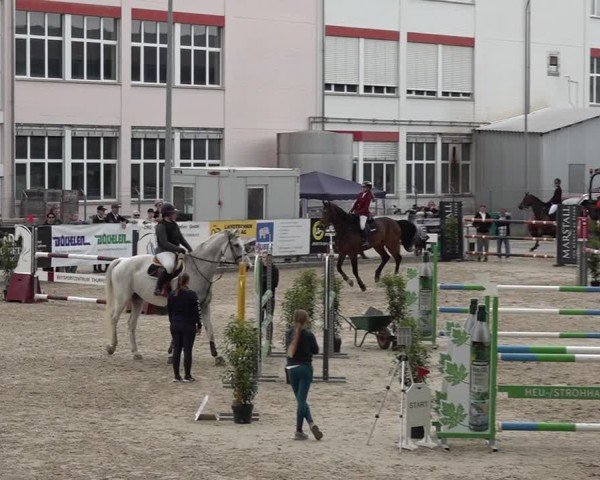 Reitturnier Sulgen 2025
