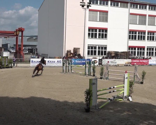 Reitturnier Sulgen 2025