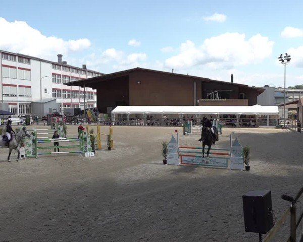 Reitturnier Sulgen 2025