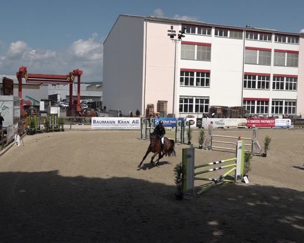 Reitturnier Sulgen 2025