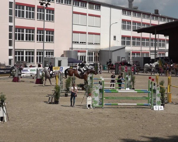 Reitturnier Sulgen 2025