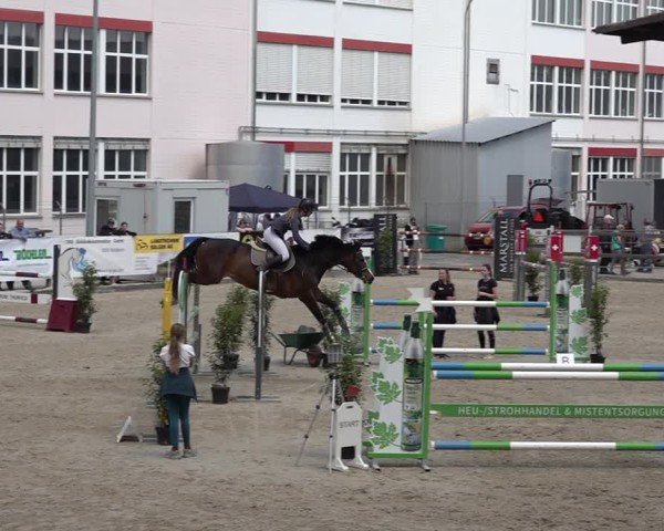 Reitturnier Sulgen 2025