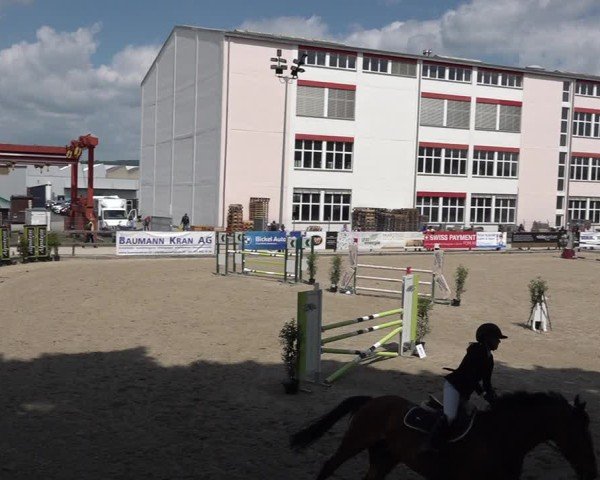 Reitturnier Sulgen 2025
