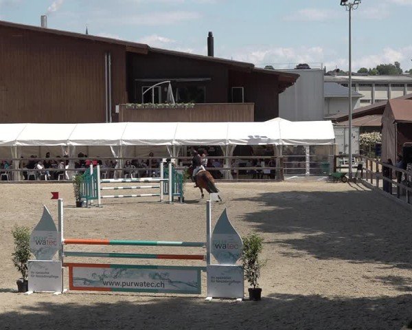 Reitturnier Sulgen 2025