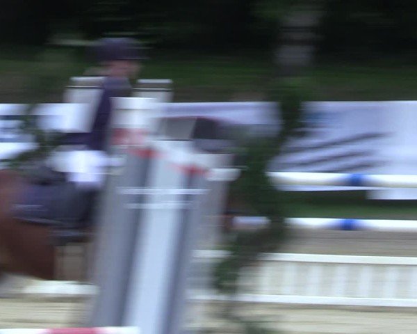 Reitturnier Niederbergheim 2025