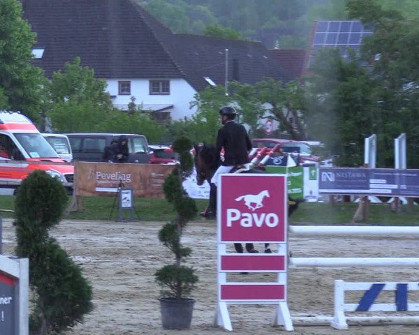 Reitturnier Niederbergheim 2025