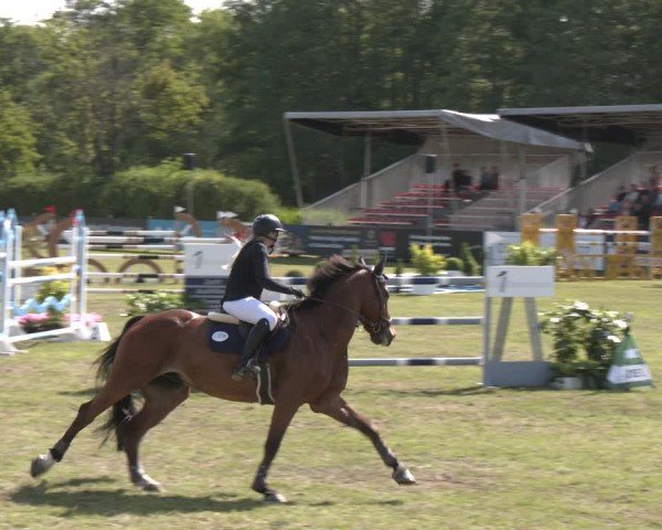 Reitturnier Bremen - Reitanlage Forkert 2025