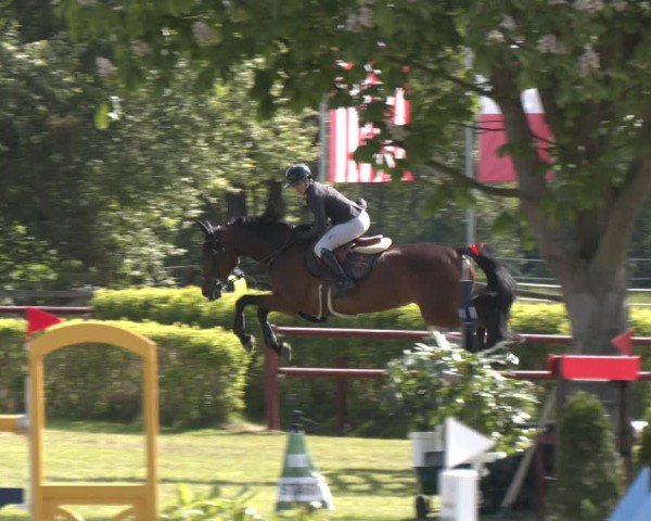 Reitturnier Bremen - Reitanlage Forkert 2025