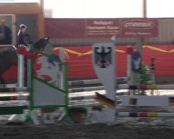 Hallenreitturnier Lindlar-Süttenbach 2014