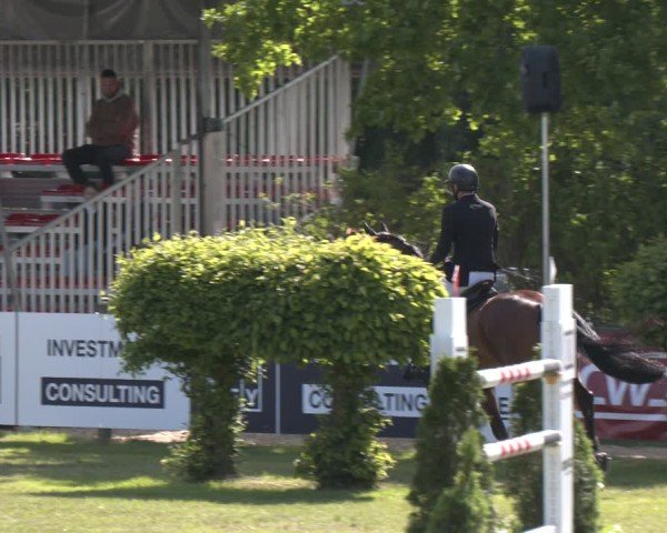 Reitturnier Bremen - Reitanlage Forkert 2025