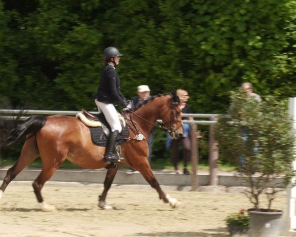Reitturnier Winnenden 2025