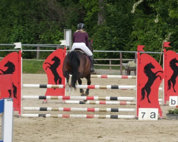 Reitturnier Winnenden 2025