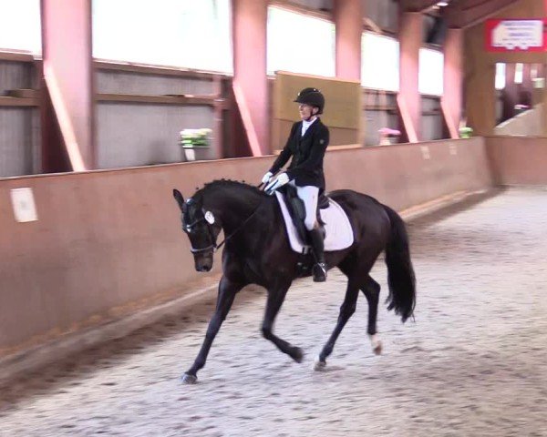 Reitturnier Risum-Lindholm 2025