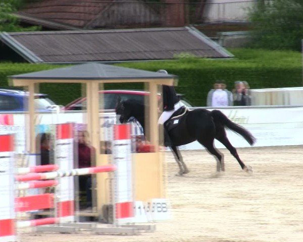 Reitturnier Mallersdorf-Pfaffenberg/Ndb. 2025