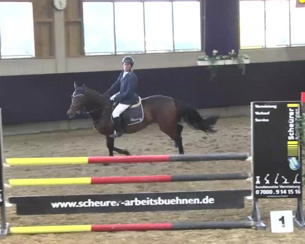 Hallenspringturnier Weilheim/Teck 2014