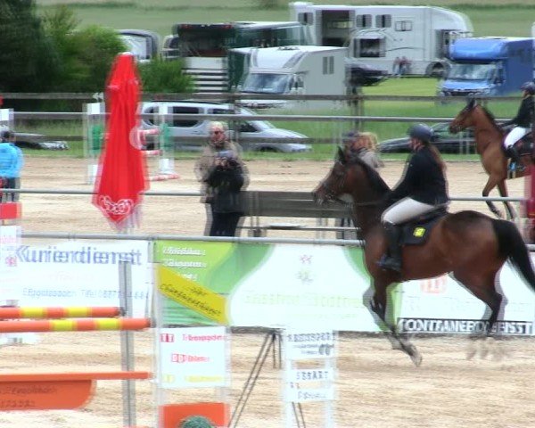 Reitturnier Mallersdorf-Pfaffenberg/Ndb. 2025