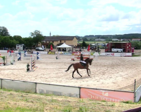 Reitturnier Mallersdorf-Pfaffenberg/Ndb. 2025