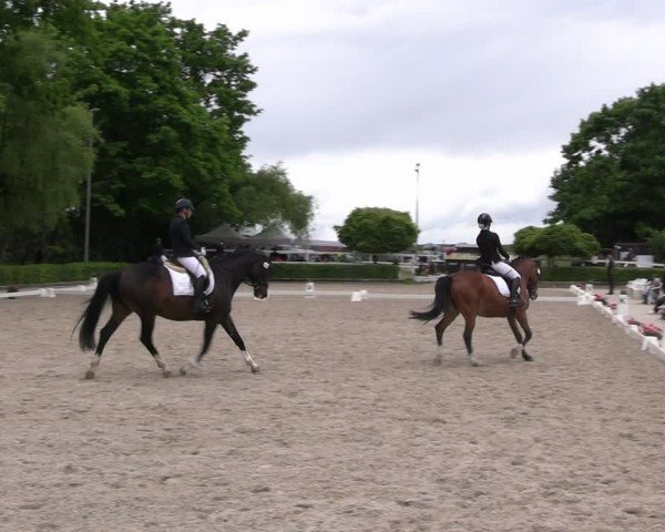 Reitturnier Müncheberg 2025