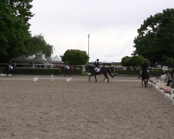 Reitturnier Müncheberg 2025
