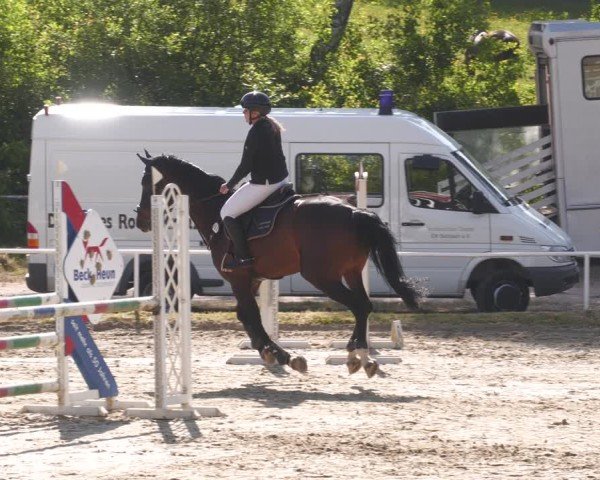 Reitturnier Heiligenwald 2025