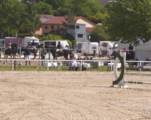 Reitturnier Heiligenwald 2025
