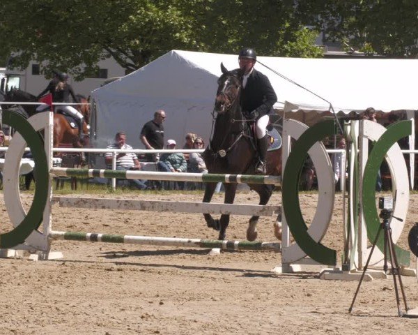 Reitturnier Heiligenwald 2025
