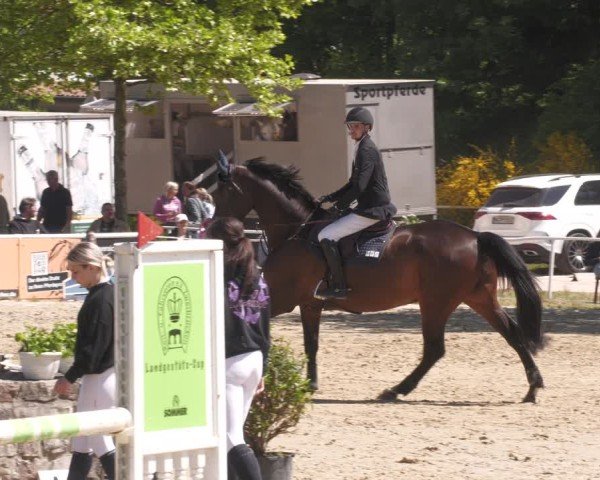 Reitturnier Heiligenwald 2025