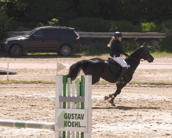 Reitturnier Heiligenwald 2025