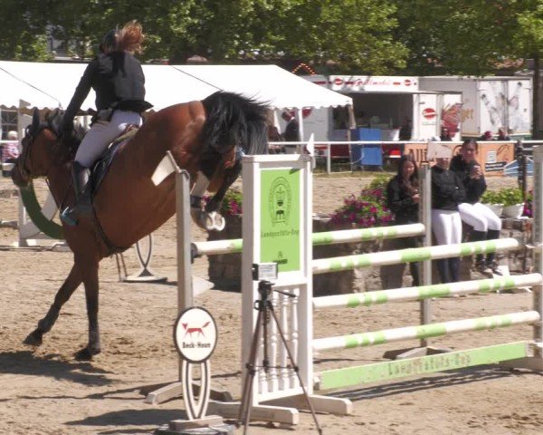 Reitturnier Heiligenwald 2025
