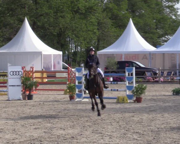 Reitturnier Bremen - Reitanlage Forkert 2025