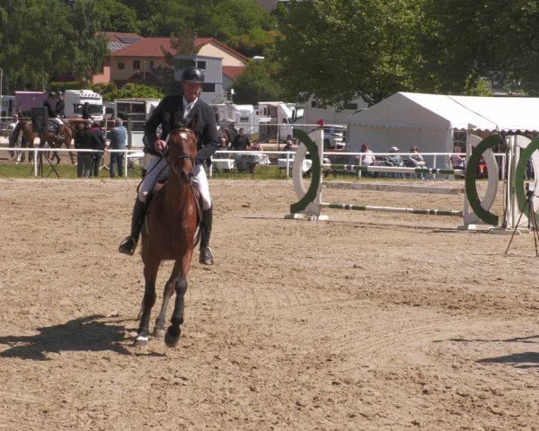 Reitturnier Heiligenwald 2025